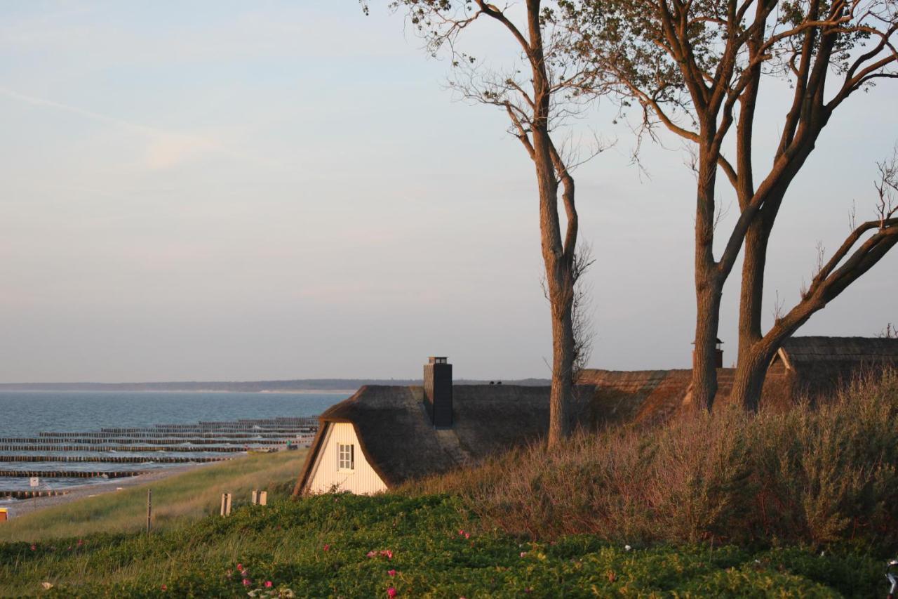 Dat Dardel Hus Born Extérieur photo
